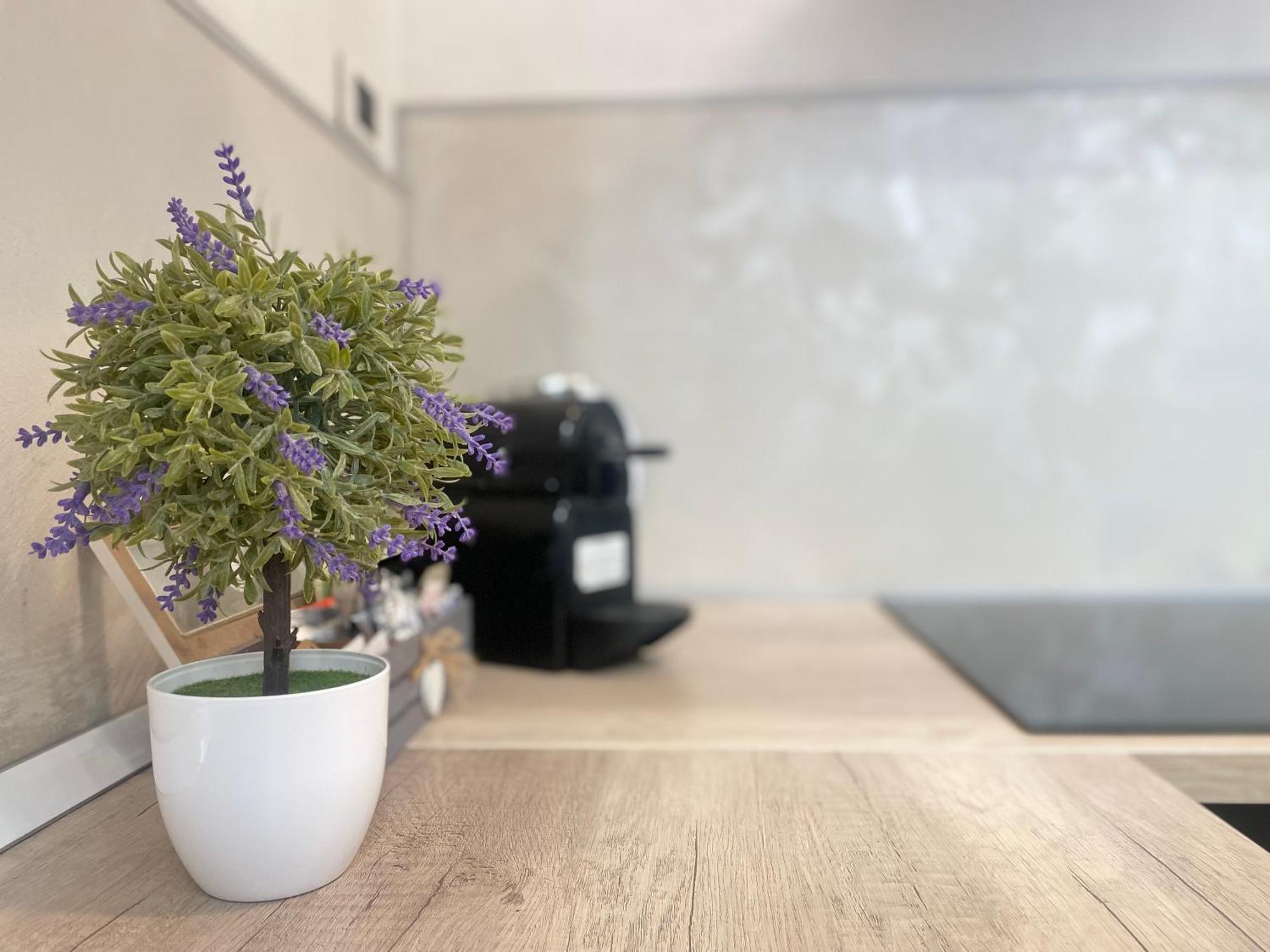 Mazzini 12, Elegant Central Apartment With Free Private Garage 800 M, Air Conditioning, Wi-Fi, Just 100 M From The Public Beach Rapallo Ngoại thất bức ảnh
